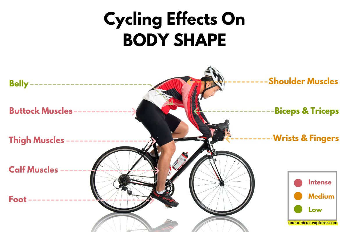 8 Effects Of Cycling On Body Shape And Parts